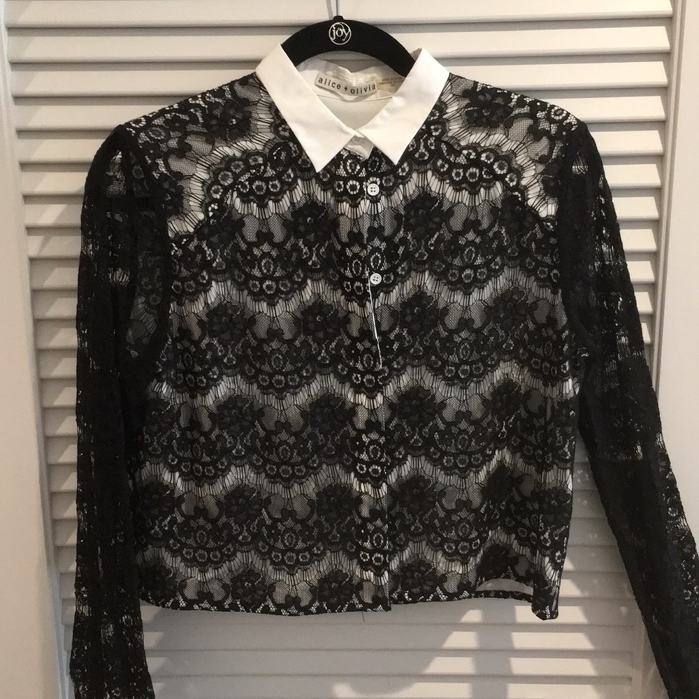 Alice and Olivia Crop Top